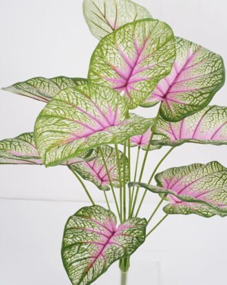 Artificial Plant 60*60cm Caladium bicolor Bush*12 GS-66421008 Leaves&Sprays&Foliages YeahFlower is one of Chinese leading OEM manufacturers and exporters , supplying the silk flowers, wholesale artificial trees