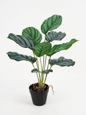 Artificial Plant 31*31*79cm Sansevieria in pp pot/21LVS GS-46721004 Potted Flowers&Plants 3,000+ sqm showroom with thousands of artificial flowers, plants & trees ready for global sourcing.