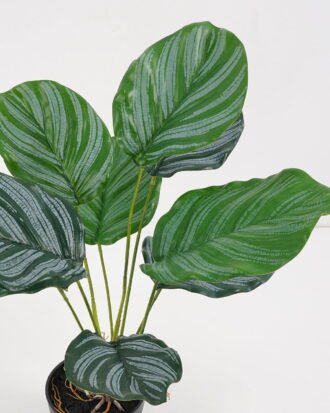 Artificial Plant 39*39*46cm Calathea ornata in pe pot /9lvs GS-46721005 Potted Flowers&Plants YeahFlower is one of Chinese leading OEM manufacturers and exporters , supplying the silk flowers, wholesale artificial trees