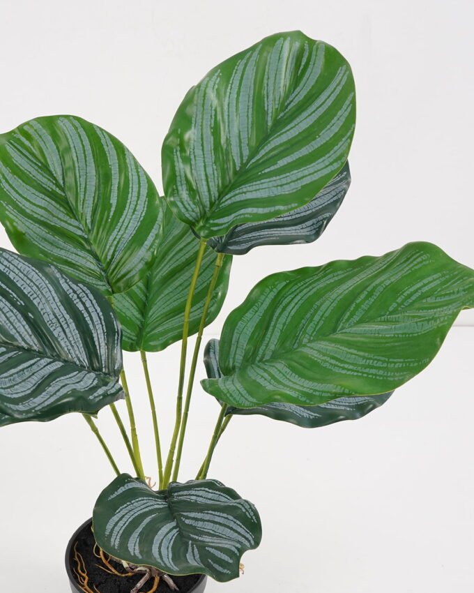Artificial Plant 39*39*46cm Calathea ornata in pe pot /9lvs GS-46721005 Potted Flowers&Plants YeahFlower is one of Chinese leading OEM manufacturers and exporters , supplying the silk flowers, wholesale artificial trees
