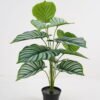 Artificial Plant Calathea potted,47*47*60cm, 12 lvs GS-03321180 Potted Flowers&Plants YeahFlower is one of Chinese leading OEM manufacturers and exporters , supplying the silk flowers, wholesale artificial trees