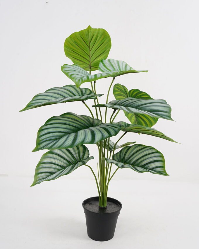 Artificial Plant Calathea potted,47*47*60cm, 12 lvs GS-03321180 Potted Flowers&Plants YeahFlower is one of Chinese leading OEM manufacturers and exporters , supplying the silk flowers, wholesale artificial trees