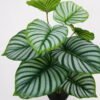 Artificial Plant Calathea potted,47*47*60cm, 12 lvs GS-03321180 Potted Flowers&Plants YeahFlower is one of Chinese leading OEM manufacturers and exporters , supplying the silk flowers, wholesale artificial trees