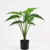 Artificial Plant 59*59*51cm Fairy taro Leaves in pp pot GS-59521080 Potted Flowers&Plants YeahFlower is one of Chinese leading OEM manufacturers and exporters , supplying the silk flowers, wholesale artificial trees