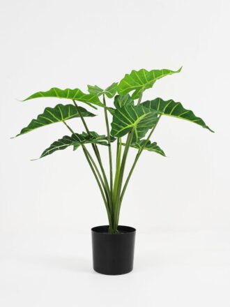 Artificial Plant 42*33*80cm snake plant*7 in pp pot GS-59521079 Potted Flowers&Plants 3,000+ sqm showroom with thousands of artificial flowers, plants & trees ready for global sourcing.