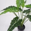 Artificial Plant 59*59*51cm Fairy taro Leaves in pp pot GS-59521080 Potted Flowers&Plants YeahFlower is one of Chinese leading OEM manufacturers and exporters , supplying the silk flowers, wholesale artificial trees