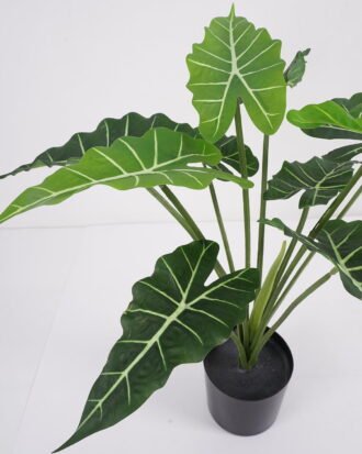 Artificial Plant 59*59*51cm Fairy taro Leaves in pp pot GS-59521080 Potted Flowers&Plants YeahFlower is one of Chinese leading OEM manufacturers and exporters , supplying the silk flowers, wholesale artificial trees Artificial Plant 59*59*51cm Fairy taro Leaves in pp pot GS-59521080 Potted Flowers&Plants YeahFlower is one of Chinese leading OEM manufacturers and exporters , supplying the silk flowers, wholesale artificial trees
