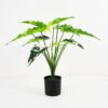 Artificial Plant 60*53*50cm Fairy taro Leaves in pp pot GS-59521081 Potted Flowers&Plants YeahFlower is one of Chinese leading OEM manufacturers and exporters , supplying the silk flowers, wholesale artificial trees