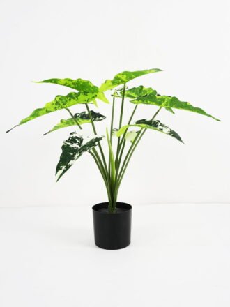 Artificial Plant 59*59*51cm Fairy taro Leaves in pp pot GS-59521080 Potted Flowers&Plants 3,000+ sqm showroom with thousands of artificial flowers, plants & trees ready for global sourcing.
