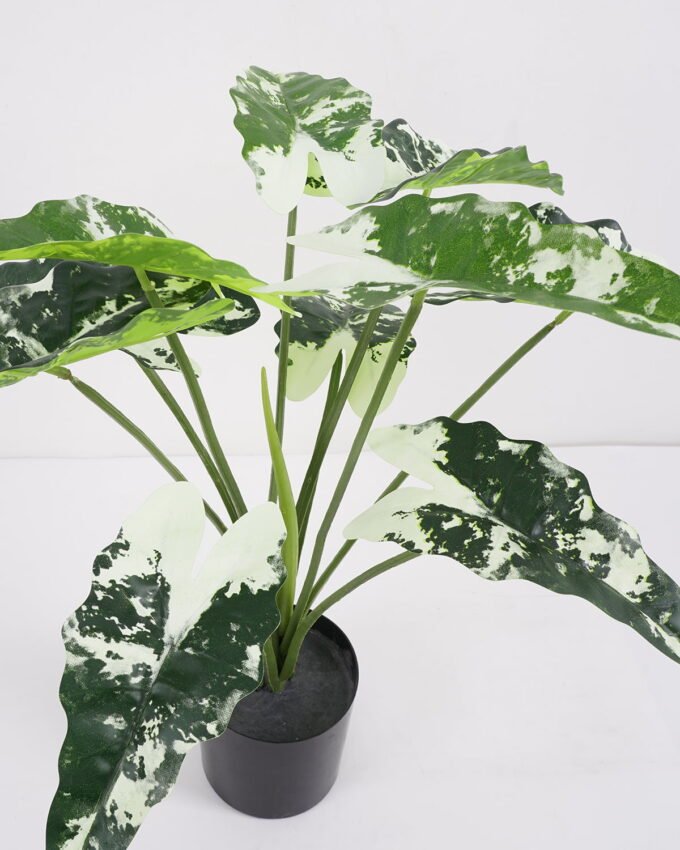 Artificial Plant 60*53*50cm Fairy taro Leaves in pp pot GS-59521081 Potted Flowers&Plants YeahFlower is one of Chinese leading OEM manufacturers and exporters , supplying the silk flowers, wholesale artificial trees
