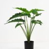 Artificial Plant Fairy taro Leaves in pp pot GS-59521082 Artificial Plant 61*58*52cm Fairy taro Leaves in pp pot GS-59521082 Potted Flowers&Plants YeahFlower is one of Chinese leading OEM manufacturers and exporters , supplying the silk flowers, wholesale artificial trees
