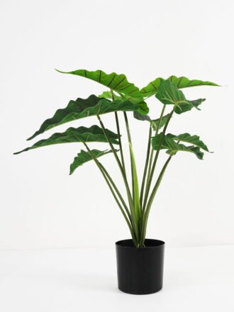 Artificial Plant 60*53*50cm Fairy taro Leaves in pp pot GS-59521081 Potted Flowers&Plants 3,000+ sqm showroom with thousands of artificial flowers, plants & trees ready for global sourcing.