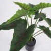 Artificial Plant Fairy taro Leaves in pp pot GS-59521082_1 Artificial Plant 61*58*52cm Fairy taro Leaves in pp pot GS-59521082 Potted Flowers&Plants YeahFlower is one of Chinese leading OEM manufacturers and exporters , supplying the silk flowers, wholesale artificial trees