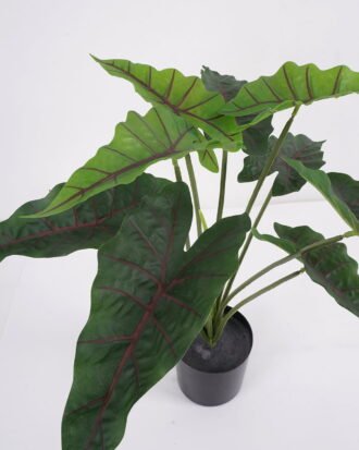 Artificial Plant 61*58*52cm Fairy taro Leaves in pp pot GS-59521082 Potted Flowers&Plants YeahFlower is one of Chinese leading OEM manufacturers and exporters , supplying the silk flowers, wholesale artificial trees Artificial Plant 61*58*52cm Fairy taro Leaves in pp pot GS-59521082 Potted Flowers&Plants YeahFlower is one of Chinese leading OEM manufacturers and exporters , supplying the silk flowers, wholesale artificial trees