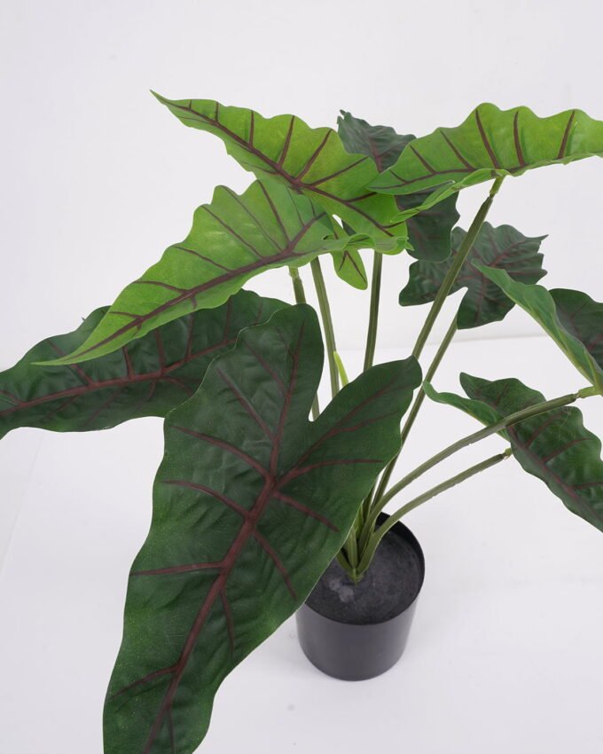 Artificial Plant Fairy taro Leaves in pp pot GS-59521082_1 Artificial Plant 61*58*52cm Fairy taro Leaves in pp pot GS-59521082 Potted Flowers&Plants YeahFlower is one of Chinese leading OEM manufacturers and exporters , supplying the silk flowers, wholesale artificial trees
