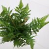 Artificial Plant 33*27cm Fern Bush*13 GS-57621005 Flowers Bush YeahFlower is one of Chinese leading OEM manufacturers and exporters , supplying the silk flowers, wholesale artificial trees