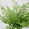Artificial Plant 23*30cmFern Bush*15 GS-57621006 Flowers Bush YeahFlower is one of Chinese leading OEM manufacturers and exporters , supplying the silk flowers, wholesale artificial trees