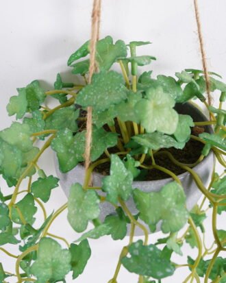 Artificial Plant 22*50cm Geranium in melamine pot GS-47121005 Banners&Garlands YeahFlower is one of Chinese leading OEM manufacturers and exporters , supplying the silk flowers, wholesale artificial trees