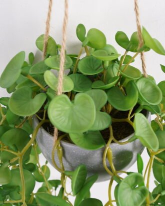 Artificial Plant 20*50cm Hydrocotyle Leaves in melamine pot GS-47121002 Banners&Garlands YeahFlower is one of Chinese leading OEM manufacturers and exporters , supplying the silk flowers, wholesale artificial trees
