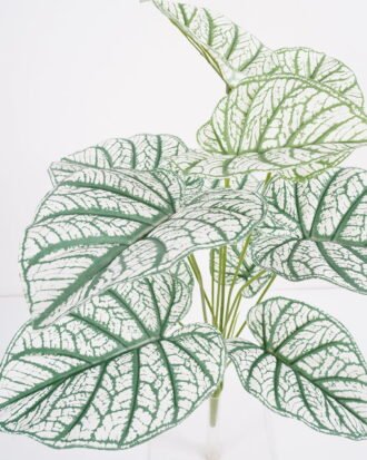 Artificial Plant 60*60cm Leaves Bush*12 GS-66421007 Leaves&Sprays&Foliages YeahFlower is one of Chinese leading OEM manufacturers and exporters , supplying the silk flowers, wholesale artificial trees