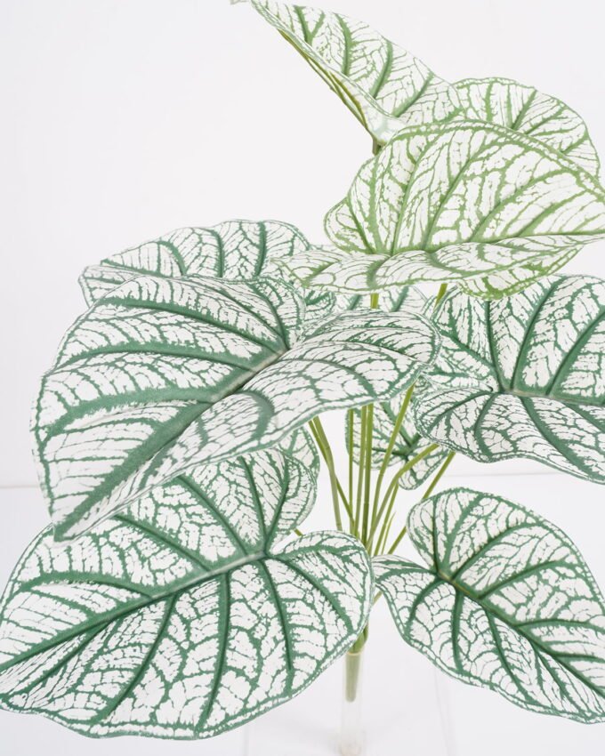 Artificial Plant 60*60cm Leaves Bush*12 GS-66421007 Leaves&Sprays&Foliages YeahFlower is one of Chinese leading OEM manufacturers and exporters , supplying the silk flowers, wholesale artificial trees