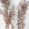 Artificial Plant 20*108cm  Meadow grass Single GS-17721072 Leaves&Sprays&Foliages YeahFlower is one of Chinese leading OEM manufacturers and exporters , supplying the silk flowers, wholesale artificial trees