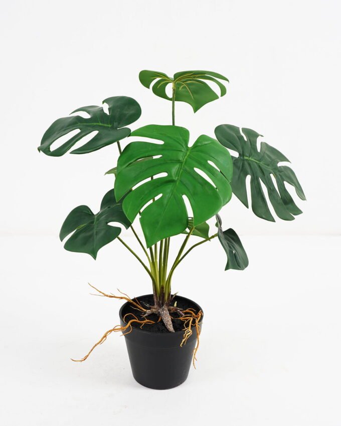 Artificial Plant 32*32*39cm Monstera in pe pot /9lvs GS-46721007 Potted Flowers&Plants YeahFlower is one of Chinese leading OEM manufacturers and exporters , supplying the silk flowers, wholesale artificial trees