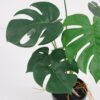 Artificial Plant 32*32*39cm Monstera in pe pot /9lvs GS-46721007 Potted Flowers&Plants YeahFlower is one of Chinese leading OEM manufacturers and exporters , supplying the silk flowers, wholesale artificial trees