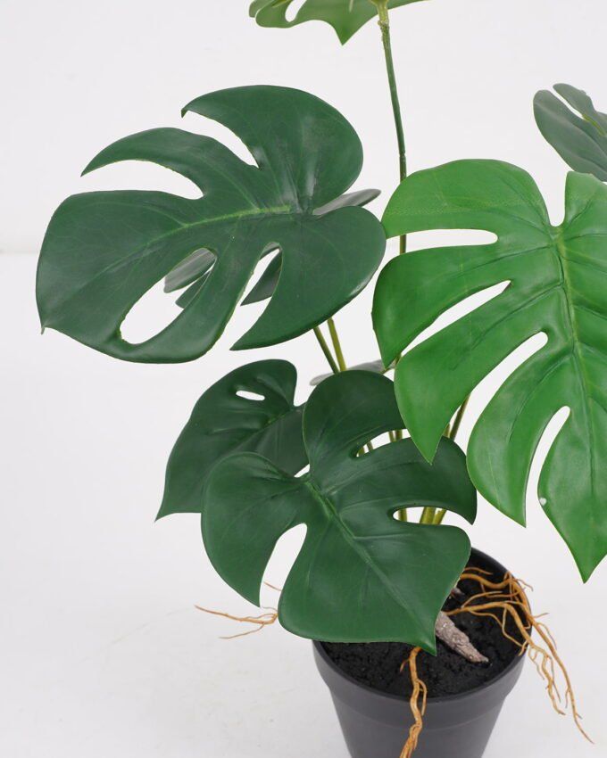Artificial Plant 32*32*39cm Monstera in pe pot /9lvs GS-46721007 Potted Flowers&Plants YeahFlower is one of Chinese leading OEM manufacturers and exporters , supplying the silk flowers, wholesale artificial trees