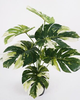 Artificial Plant Monstera potted,47*47*60cm, 12 lvs GS-03321178 Potted Flowers&Plants YeahFlower is one of Chinese leading OEM manufacturers and exporters , supplying the silk flowers, wholesale artificial trees Artificial Plant Monstera potted,47*47*60cm, 12 lvs GS-03321178 Potted Flowers&Plants YeahFlower is one of Chinese leading OEM manufacturers and exporters , supplying the silk flowers, wholesale artificial trees