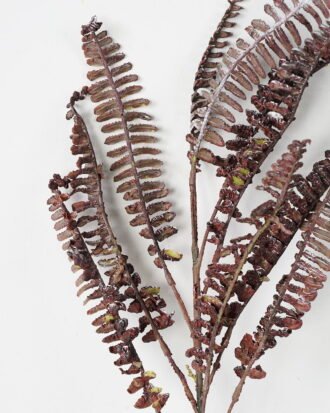 Artificial Plant 17*78cm  Persian grass Single GS-17721068 Leaves&Sprays&Foliages YeahFlower is one of Chinese leading OEM manufacturers and exporters , supplying the silk flowers, wholesale artificial trees