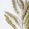 Artificial Plant 17*78cm  Persian grass Single GS-17721069 Leaves&Sprays&Foliages YeahFlower is one of Chinese leading OEM manufacturers and exporters , supplying the silk flowers, wholesale artificial trees
