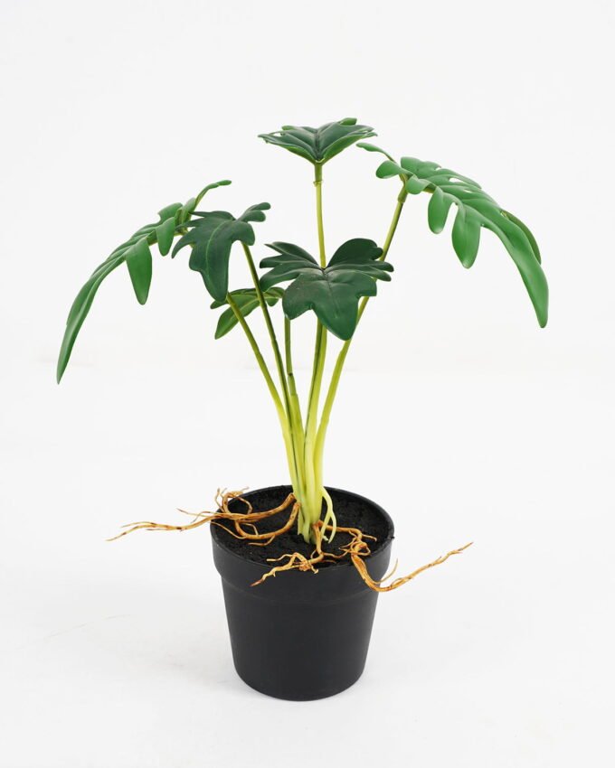 Artificial Plant Philodendron selloum in pe pot 6lvs GS-46721012 Artificial Plant 25*25*30cm Philodendron selloum in pe pot /6lvs GS-46721012 Potted Flowers&Plants YeahFlower is one of Chinese leading OEM manufacturers and exporters , supplying the silk flowers, wholesale artificial trees