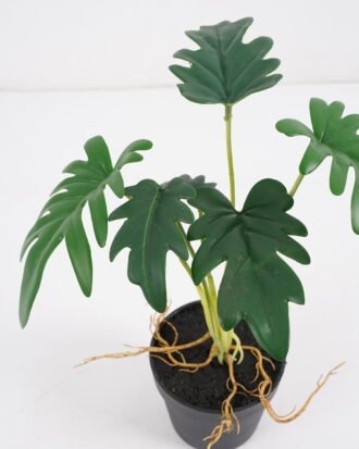 Artificial Plant 25*25*30cm Philodendron selloum in pe pot /6lvs GS-46721012 Potted Flowers&Plants YeahFlower is one of Chinese leading OEM manufacturers and exporters , supplying the silk flowers, wholesale artificial trees Artificial Plant 25*25*30cm Philodendron selloum in pe pot /6lvs GS-46721012 Potted Flowers&Plants YeahFlower is one of Chinese leading OEM manufacturers and exporters , supplying the silk flowers, wholesale artificial trees