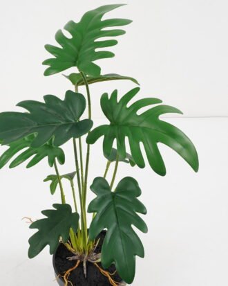 Artificial Plant 32*32*39cm Philodendron selloum in pe pot /9lvs GS-46721008 Potted Flowers&Plants YeahFlower is one of Chinese leading OEM manufacturers and exporters , supplying the silk flowers, wholesale artificial trees Artificial Plant 32*32*39cm Philodendron selloum in pe pot /9lvs GS-46721008 Potted Flowers&Plants YeahFlower is one of Chinese leading OEM manufacturers and exporters , supplying the silk flowers, wholesale artificial trees