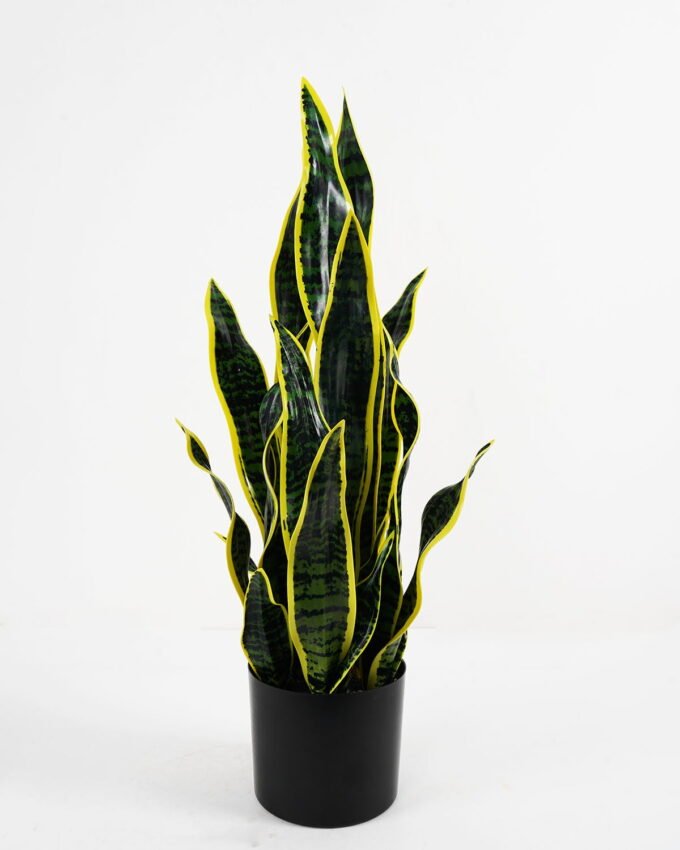 Artificial Plant 28*28*67cm Sansevieria in pp pot/21LVS GS-46721002 Potted Flowers&Plants YeahFlower is one of Chinese leading OEM manufacturers and exporters , supplying the silk flowers, wholesale artificial trees