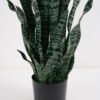 Artificial Plant Sansevieria in pp pot 21LVS GS-46721003_5 Artificial Plant 31*31*79cm Sansevieria in pp pot/21LVS GS-46721003 Potted Flowers&Plants YeahFlower is one of Chinese leading OEM manufacturers and exporters , supplying the silk flowers, wholesale artificial trees