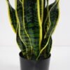 Artificial Plant 31*31*79cm Sansevieria in pp pot/21LVS GS-46721004 Potted Flowers&Plants YeahFlower is one of Chinese leading OEM manufacturers and exporters , supplying the silk flowers, wholesale artificial trees