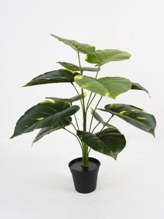 Artificial Plant Calathea potted,47*47*60cm, 12 lvs GS-03321180 Potted Flowers&Plants 3,000+ sqm showroom with thousands of artificial flowers, plants & trees ready for global sourcing.