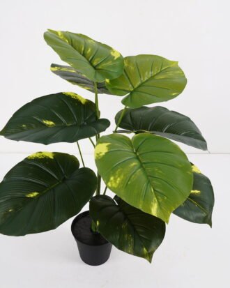 Artificial Plant Scindapsus aureus potted,47*47*60cm, 12 lvs GS-03321181 Potted Flowers&Plants YeahFlower is one of Chinese leading OEM manufacturers and exporters , supplying the silk flowers, wholesale artificial trees