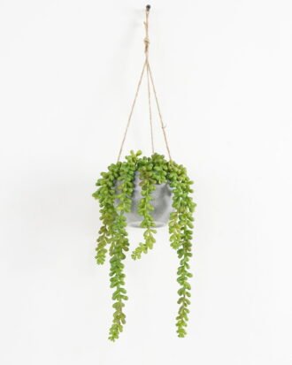 Artificial Plant 16*55cm Succulent in melamine pot GS-47121001 Banners&Garlands YeahFlower is one of Chinese leading OEM manufacturers and exporters , supplying the silk flowers, wholesale artificial trees