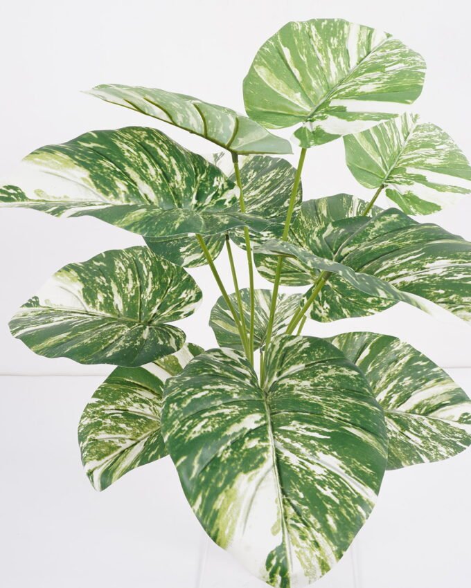 Artificial Plant 60*60cm alocasia Bush*12 GS-66421006 Leaves&Sprays&Foliages YeahFlower is one of Chinese leading OEM manufacturers and exporters , supplying the silk flowers, wholesale artificial trees