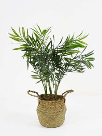 Artificial Plant 20*18*33cm small copper leaf in pe pot GS-59521085 Potted Flowers&Plants YeahFlower is one of Chinese leading OEM manufacturers and exporters , supplying the silk flowers, wholesale artificial trees