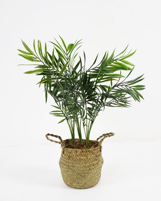 Artificial Plant 36*33*50cm kwai tree in pp pot GS-59521086 Potted Flowers&Plants YeahFlower is one of Chinese leading OEM manufacturers and exporters , supplying the silk flowers, wholesale artificial trees