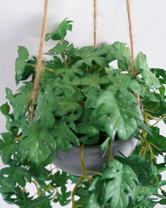 Artificial Plant 20*55cm monstera in melamine pot GS-47121003 Banners&Garlands YeahFlower is one of Chinese leading OEM manufacturers and exporters , supplying the silk flowers, wholesale artificial trees