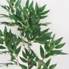 Artificial Plant 35*95cm salix leaf spray GS-17721088 Leaves&Sprays&Foliages YeahFlower is one of Chinese leading OEM manufacturers and exporters , supplying the silk flowers, wholesale artificial trees