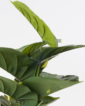 Artificial Plant 60*60cm scindapsus aureus Bush*12 GS-66421005 Leaves&Sprays&Foliages YeahFlower is one of Chinese leading OEM manufacturers and exporters , supplying the silk flowers, wholesale artificial trees