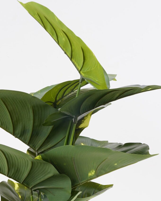 Artificial Plant 60*60cm scindapsus aureus Bush*12 GS-66421005 Leaves&Sprays&Foliages YeahFlower is one of Chinese leading OEM manufacturers and exporters , supplying the silk flowers, wholesale artificial trees