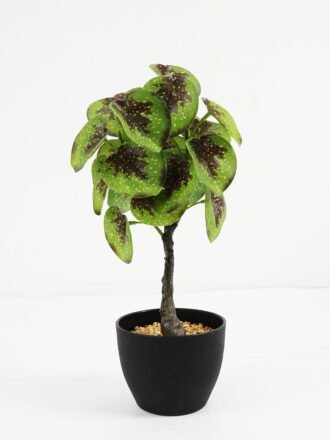 Artificial Plant 61*58*52cm Fairy taro Leaves in pp pot GS-59521082 Potted Flowers&Plants 3,000+ sqm showroom with thousands of artificial flowers, plants & trees ready for global sourcing.
