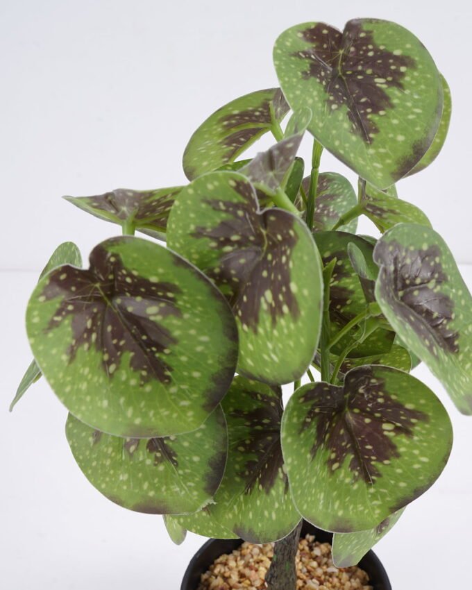 Artificial Plant 18*15*34cm small copper leaf in pe pot GS-59521083 Potted Flowers&Plants YeahFlower is one of Chinese leading OEM manufacturers and exporters , supplying the silk flowers, wholesale artificial trees